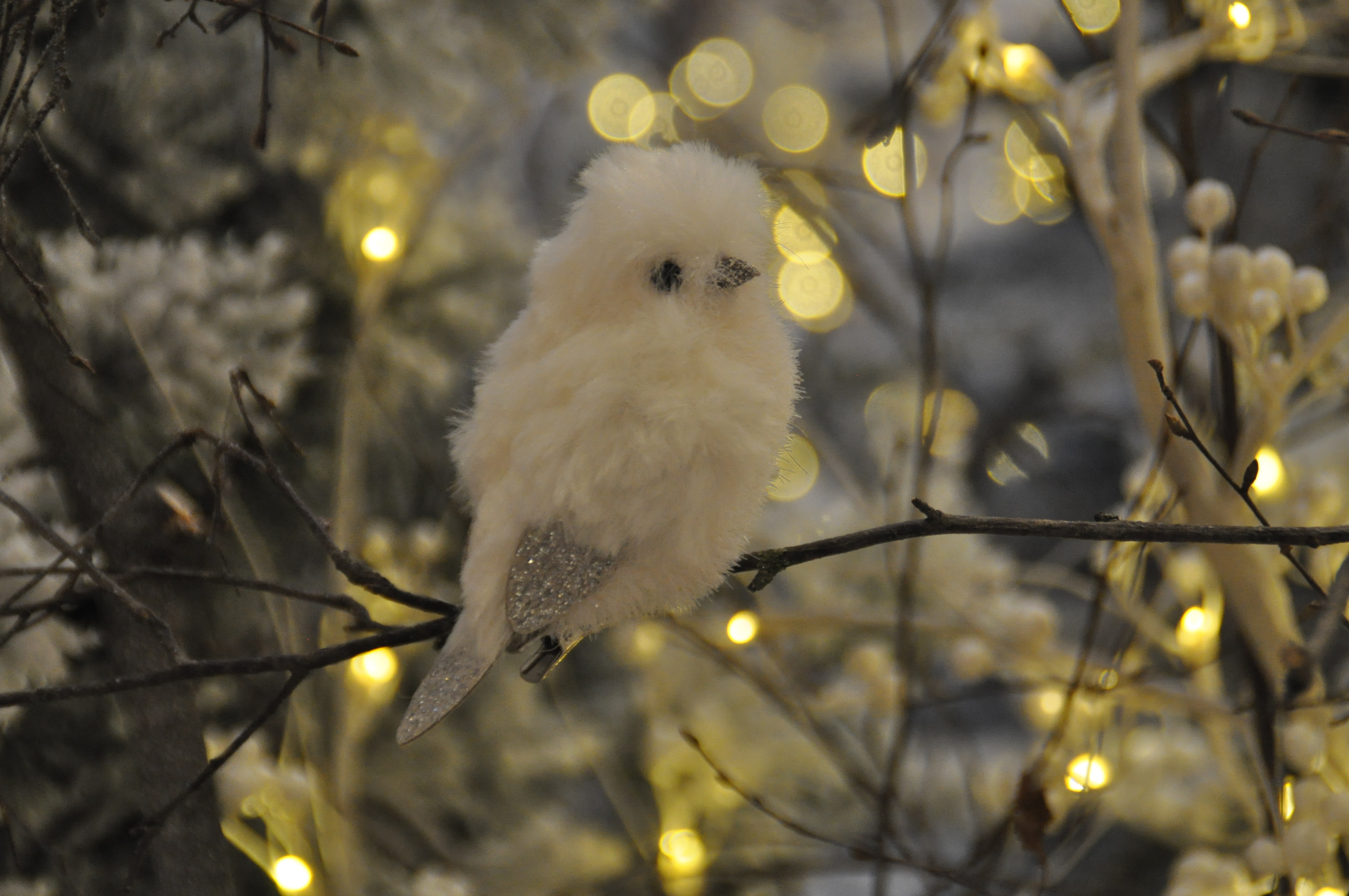 ziekenhuis Respect ik heb honger Kersttrend gespot (2015): vogels & veren in de kerstboom!