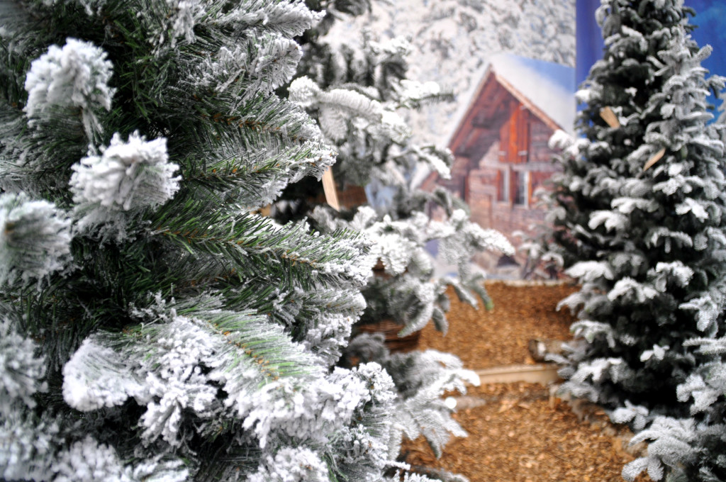 tuincentrum osdorp kerstbomen 2015