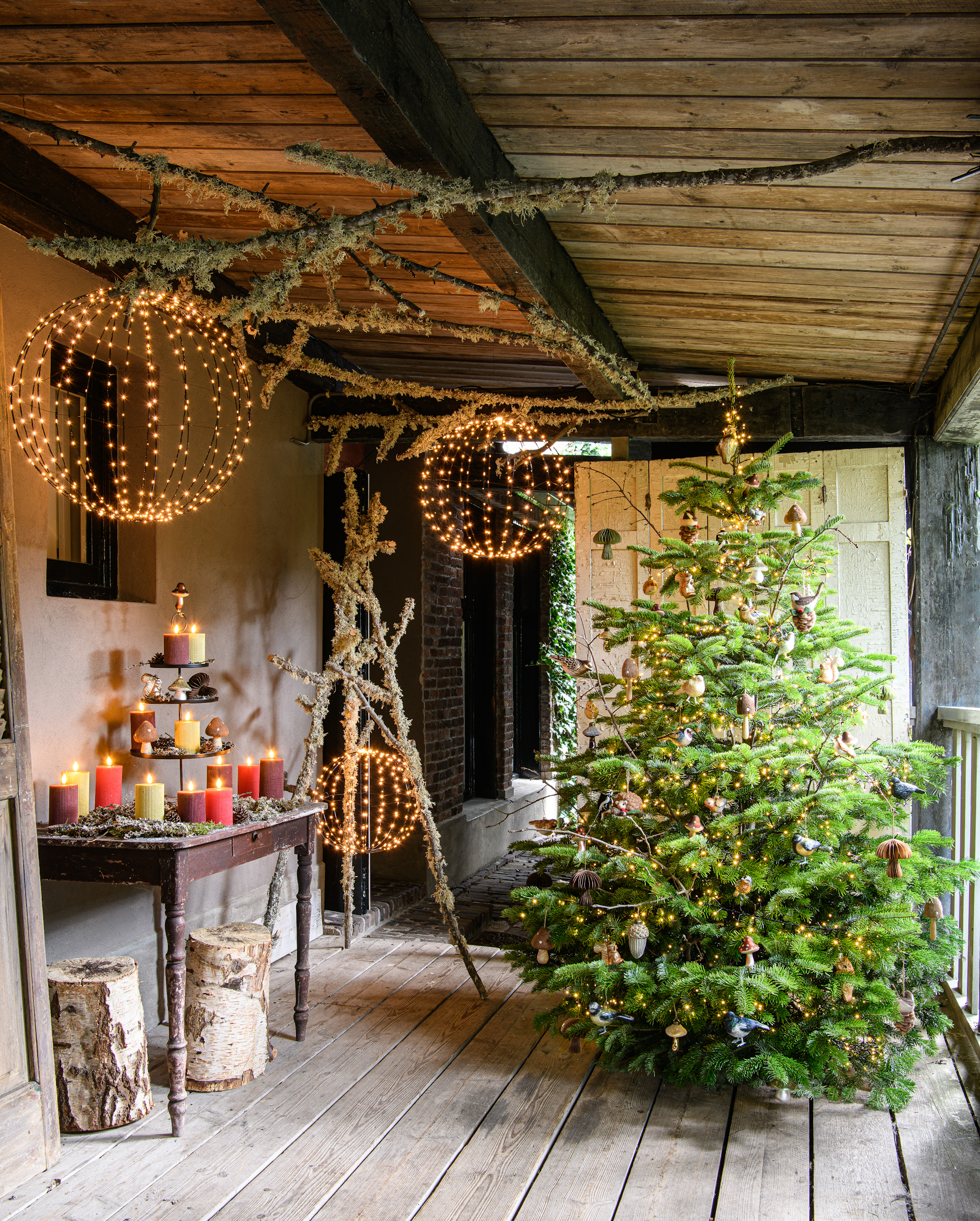 Kerstthema Winter Garden Intratuin 2024