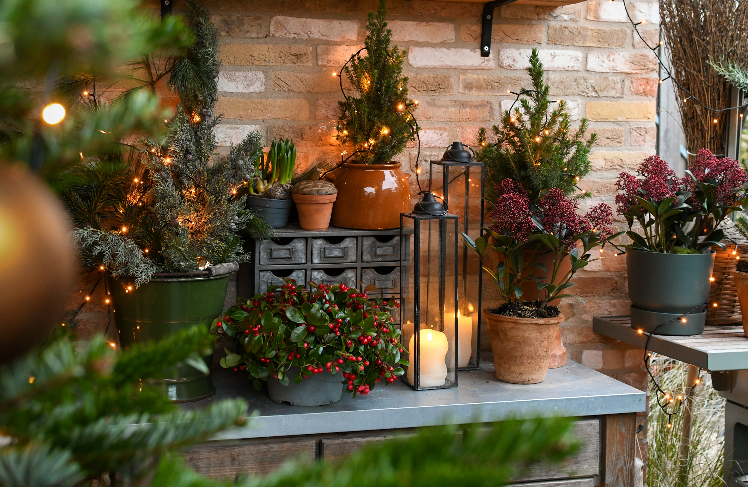 Kerstversiering en kerstdecoratie in een kleine tuin