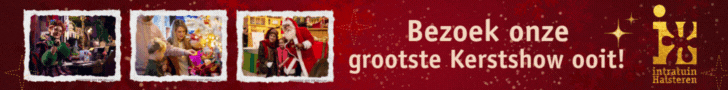 Banner-halsteren-2025
